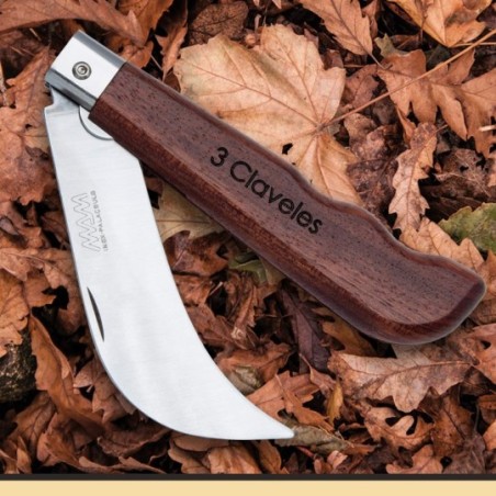 Harvest and mushroom pocket knife with blade lock