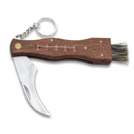 Mushroom pocket knife with brush, metric scale and pouch