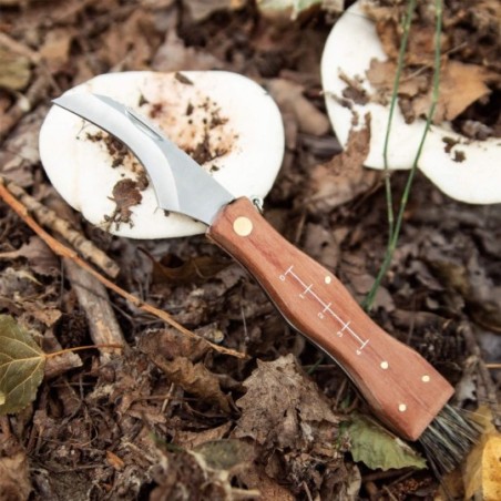 Mushroom pocket knife with brush, metric scale and pouch