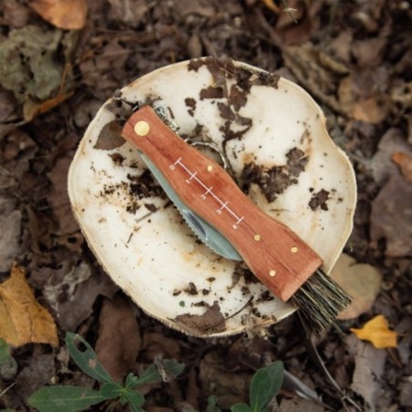 Mushroom pocket knife with brush, metric scale and pouch