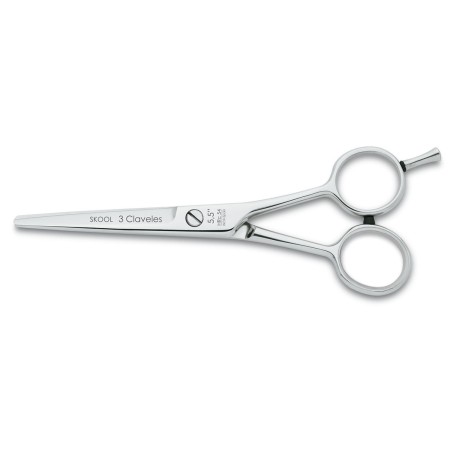 Skool Hairdressing Scissors