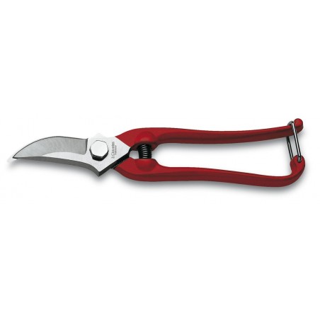 Grape Harvest Shears