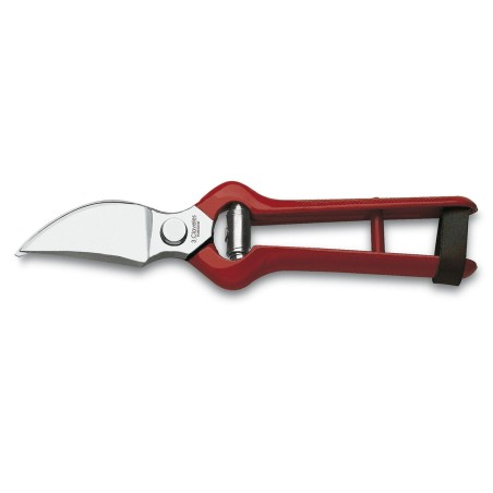 Pruning Shears