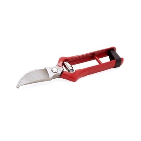 Pruning Shears