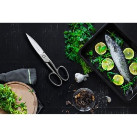 Master Kitchen Shears