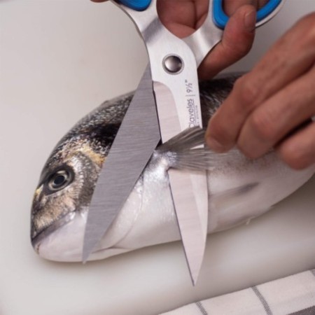 Large Kitchen - Fish Shears