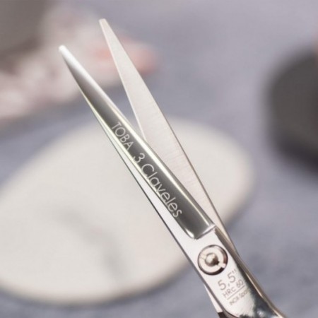 Toba Hairdressing Scissors