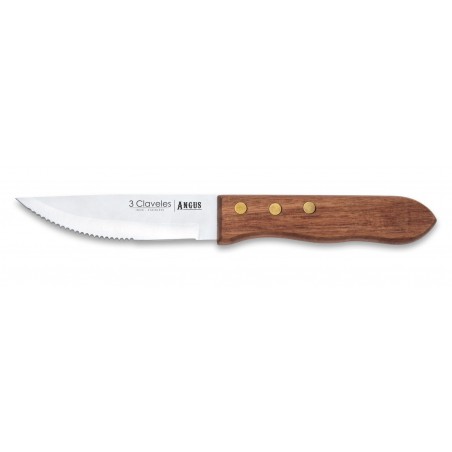 Set Angus 4 Steak Knife