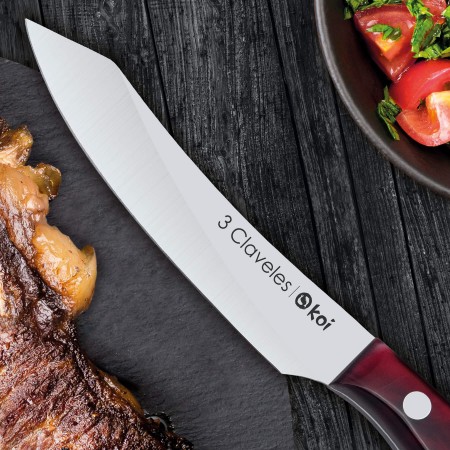 Set 4 Koi Steak Knife